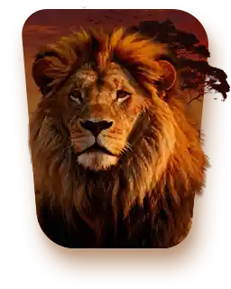 Safri