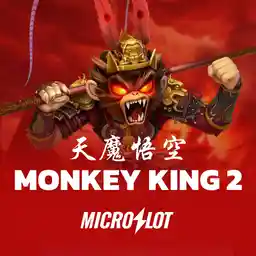 MicroSlot