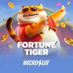 MicroSlot