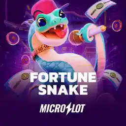 MicroSlot
