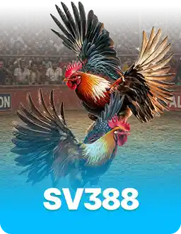 SV388